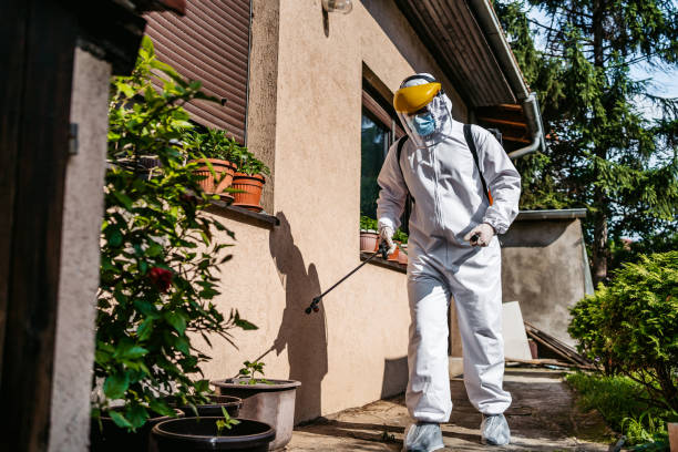 Best Local Pest Control Services  in Brackenridge, PA