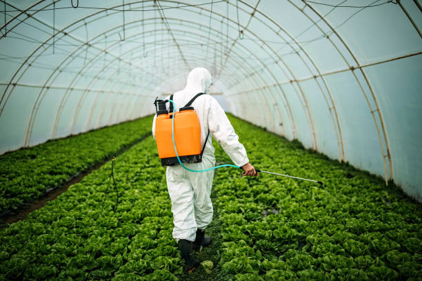 Best Pest Control for Homes  in Brackenridge, PA