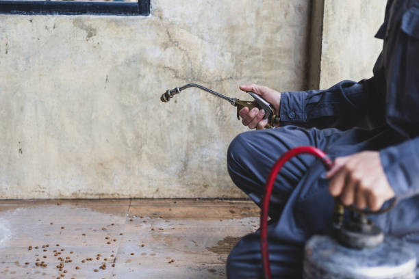 Best Affordable Pest Control Services  in Brackenridge, PA